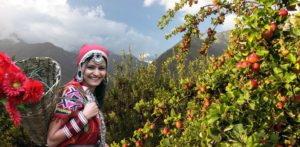 delhi manali tour package