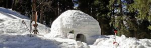 Igloo in Manali